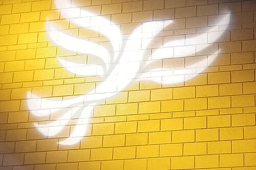 Lib Dem logo bird projected on blockwork