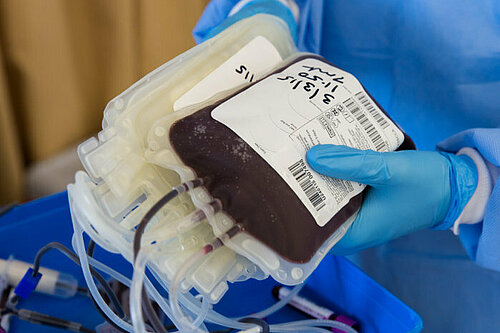 Blood donation A person in scrubs and medical gloves holding a bag of donated blood